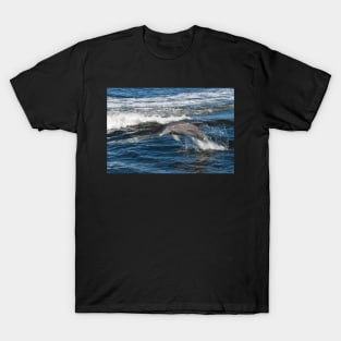 Dolphin Love T-Shirt